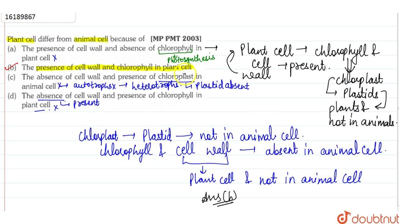 The absence of cell wall and presence of chloroplast in animal cell