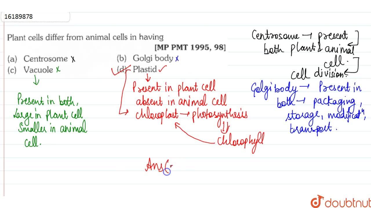 Plant cells differ from animal cells in having