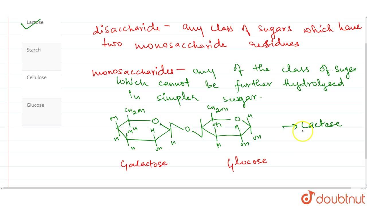 Which Of The Following Is A Disaccharide Which Of The Following Is A Disaccharide
