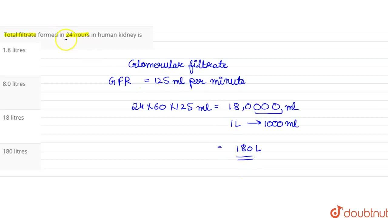 Total filtrate formed in 24 hours in human kidney is