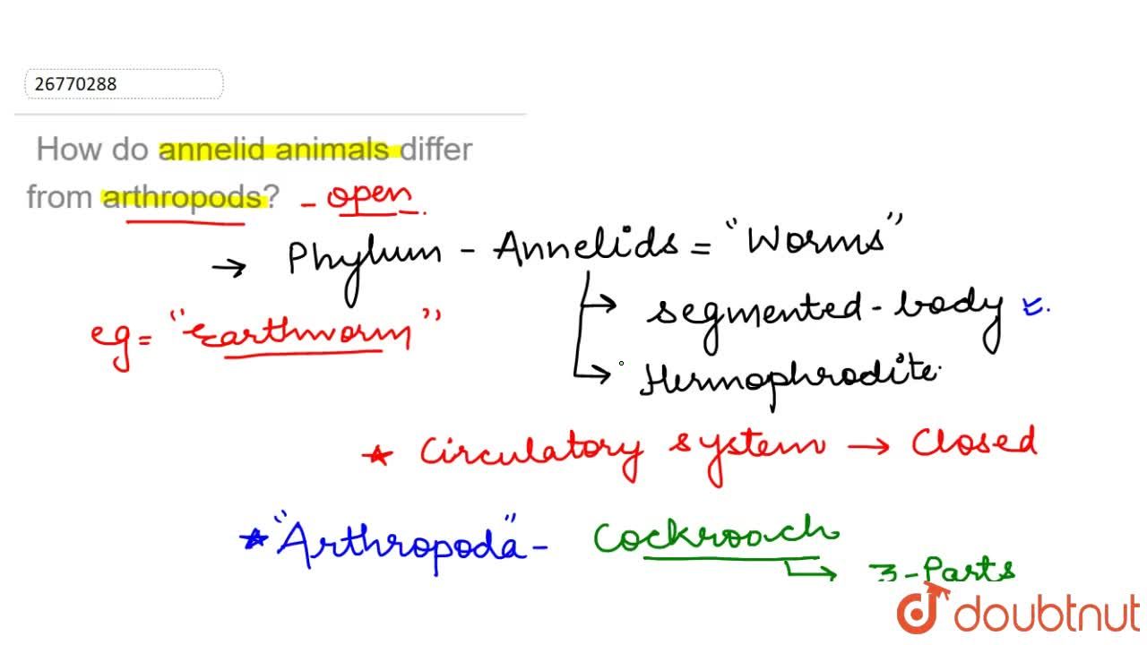 How do annelid animals differ from arthropods?