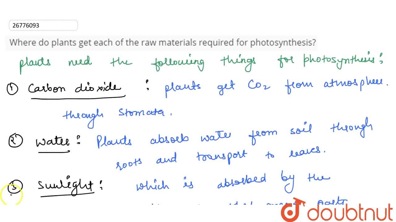 raw materials of photosynthesis