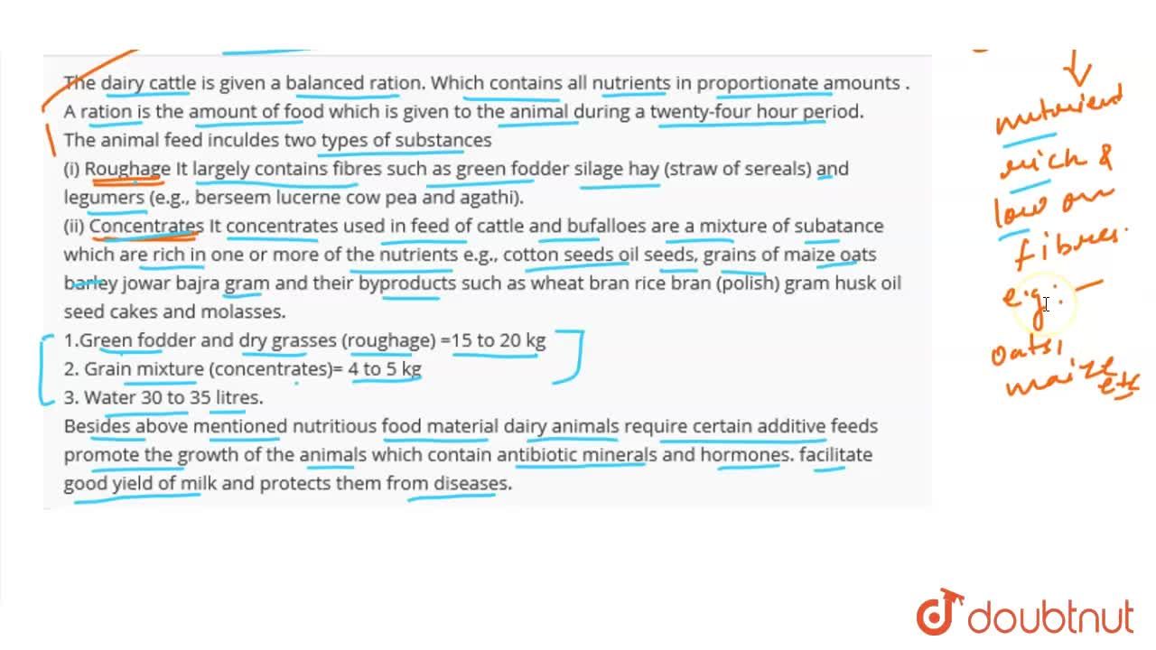 animal feeding function