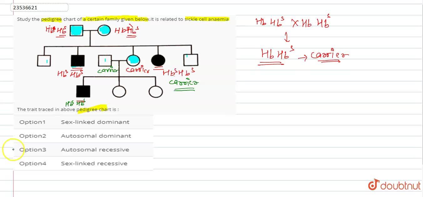 Sickle Cell Anemia Pedigree