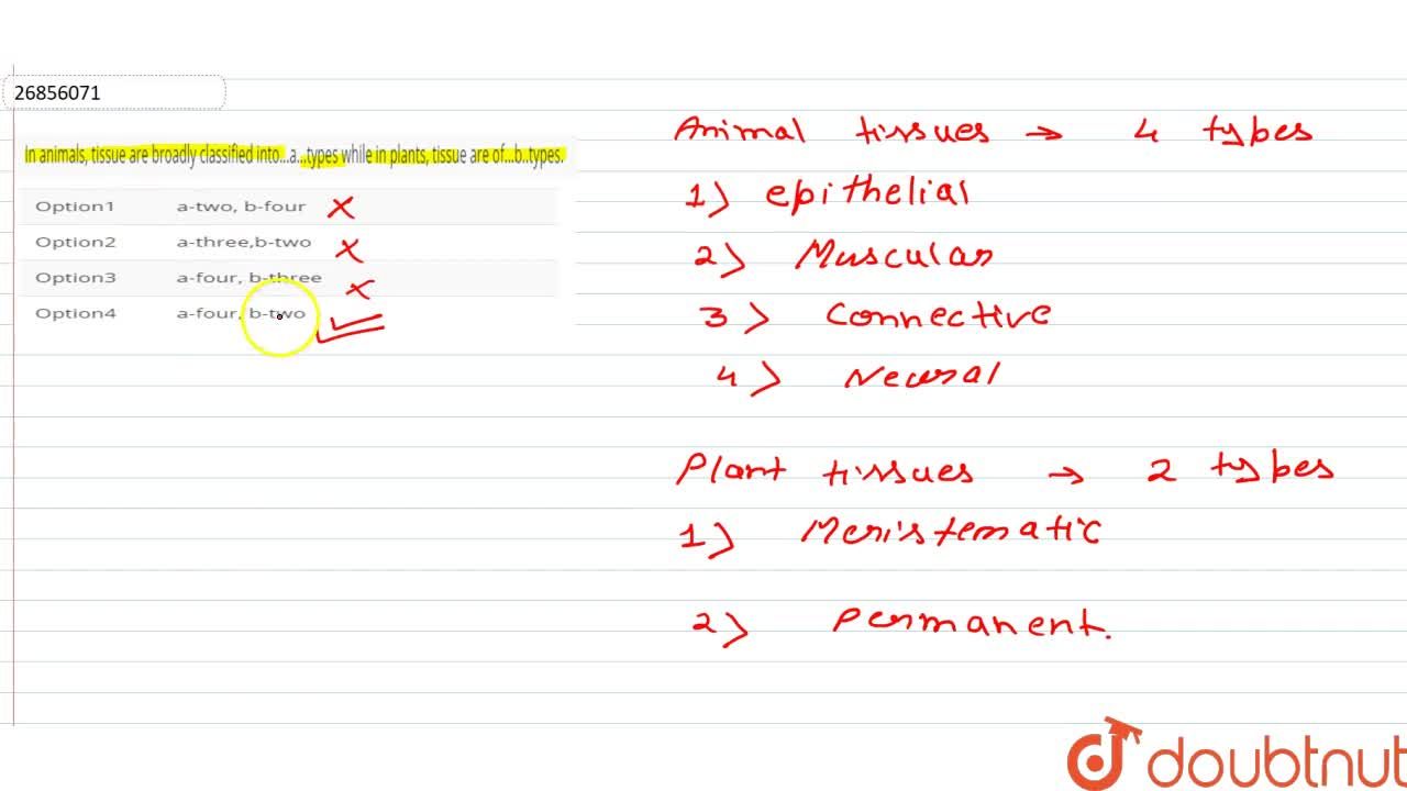 In animals, tissue are broadly classified into...a...types while in plants, tissue are of...b..types. In animals, tissue are broadly classified into...a...types while in plants, tissue are of...b..types.