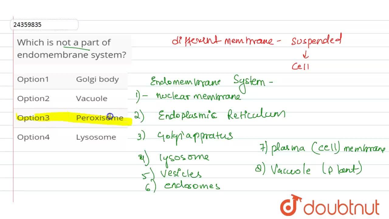 Which Is Not A Part Of Endomembrane System? Which Is Not A Part Of Endomembrane System?