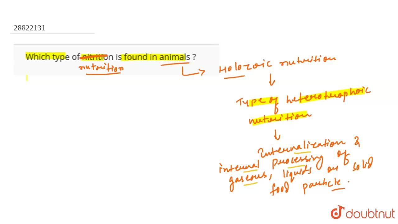 Which type of nutrition is found in animals? Which type of nutrition is found in animals?