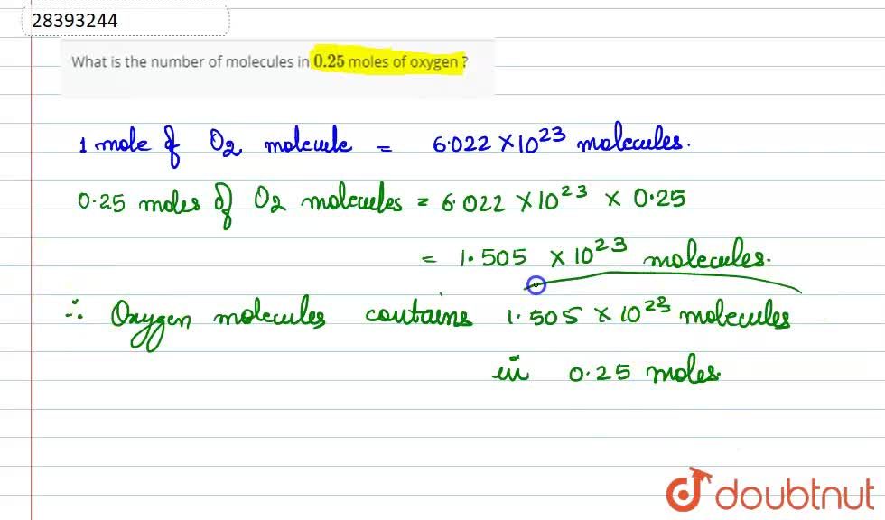 What Is The Number Of Molecular In 0 25 Moles Of Oxygen What Is The Number Of Molecular In 0 25 Moles Of Oxygen