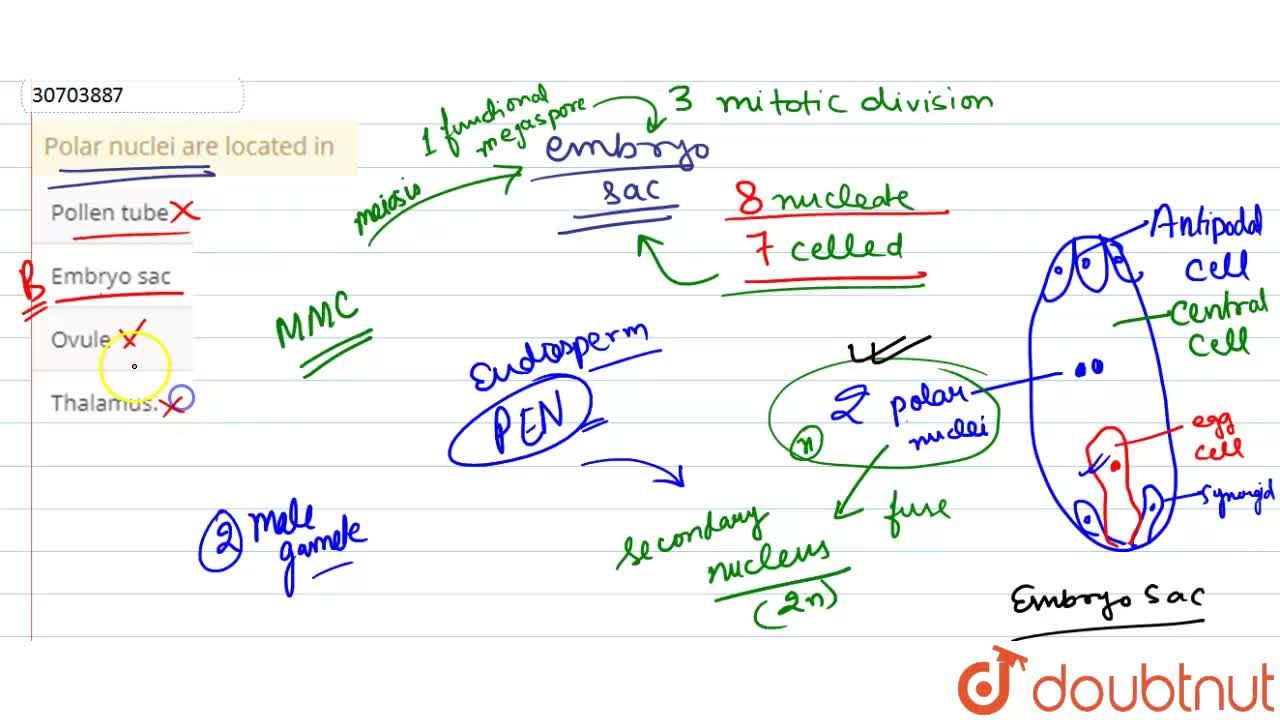 polar nuclei