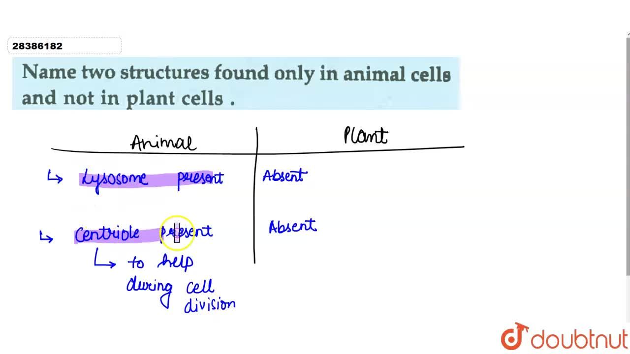 Name two structures found only in animal cells and not in plant cells. Name two structures found only in animal cells and not in plant cells.