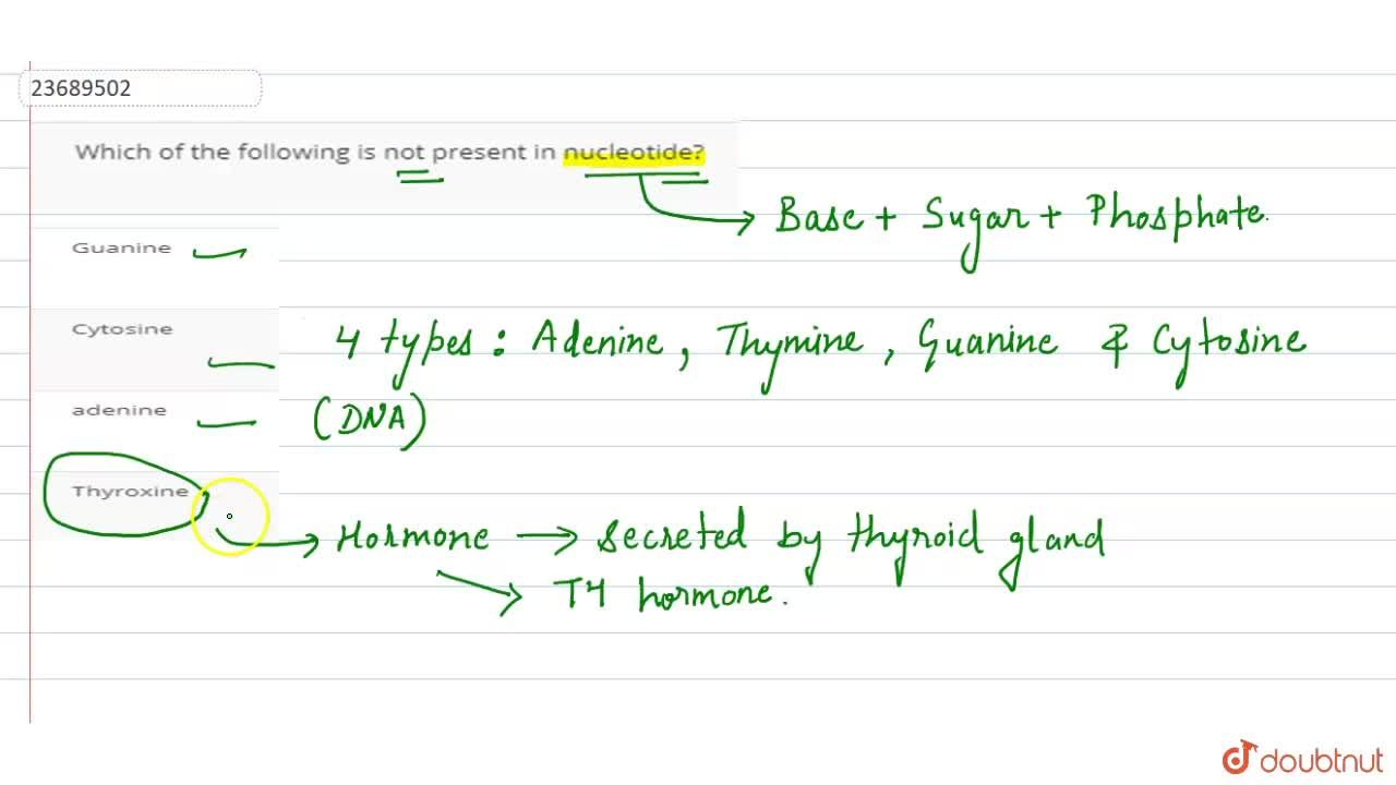 Which Of The Following Is Not Present In Nucleotide? Which Of The Following Is Not Present In Nucleotide?