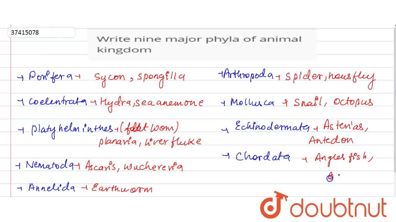 What are the nine phyla of the kingdom Animalia?