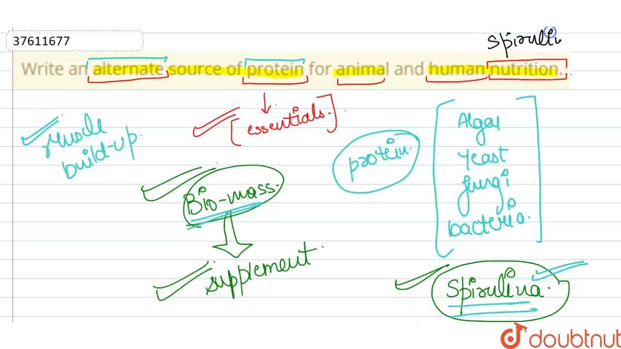 Write an alternate source of protein for animal and human nutrition.