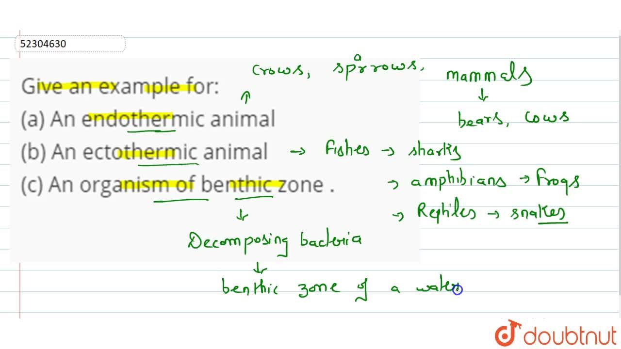 Give an example for: (a) An endothermic animal (b) An ectothermic animal  (c) An organism of benthic zone .