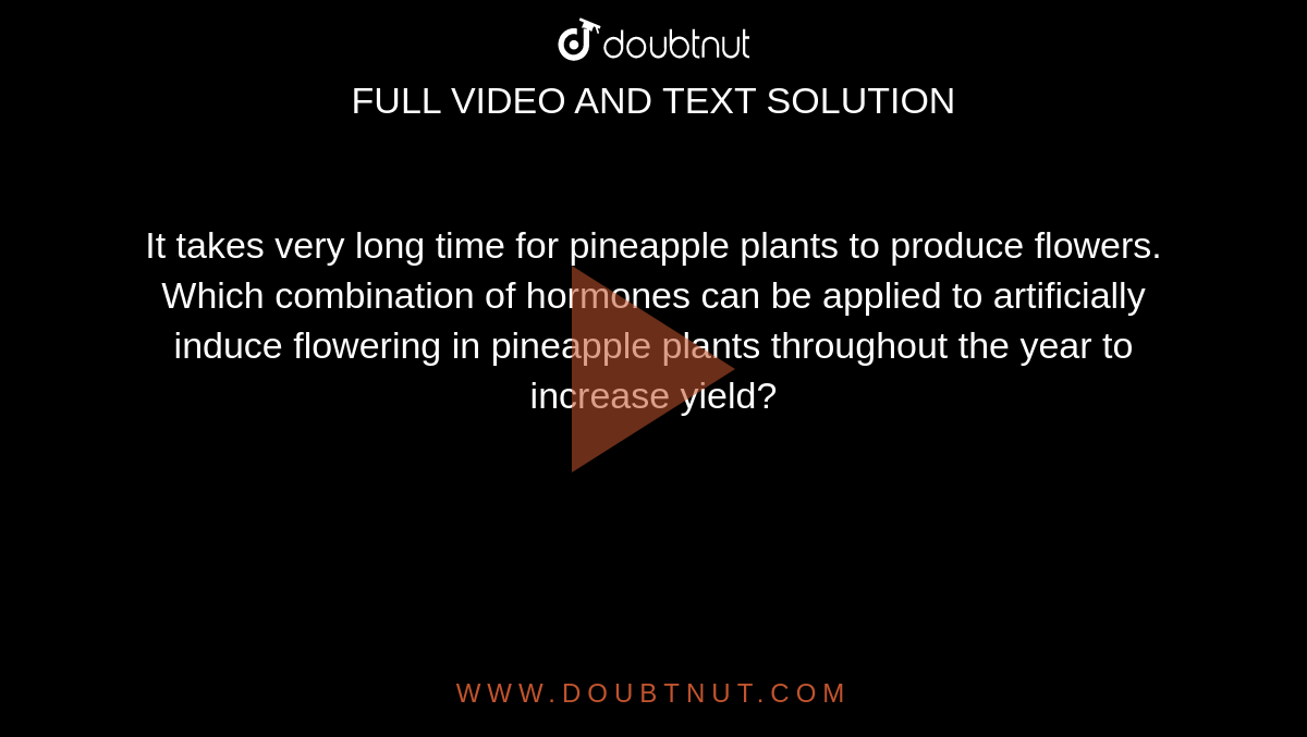 It takes very long time for pineapple plants to produce flowers. Which combination of hormones can be applied to artificially induce flowering in pineapple plants throughout the year to increase yield? 