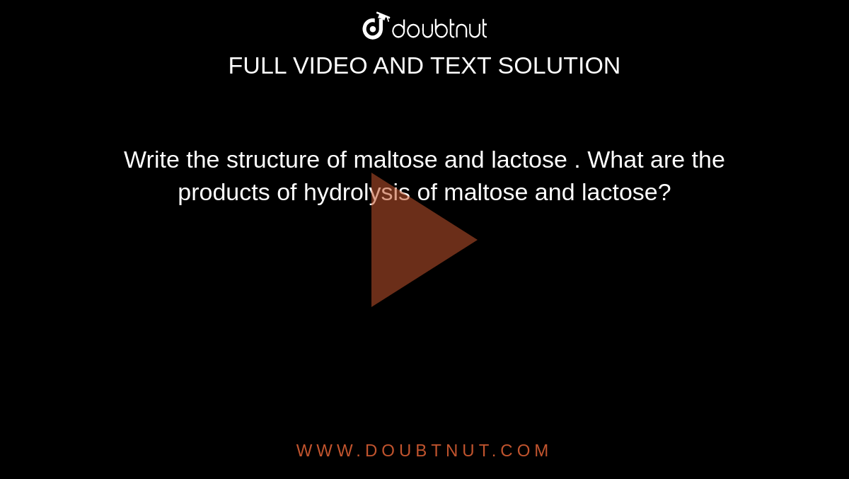 hydrolysis of maltose products