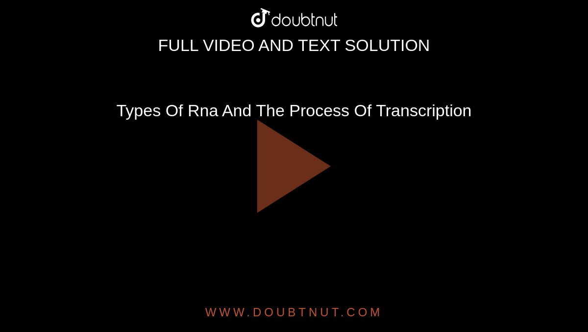 Types Of Rna And The Process Of Transcription