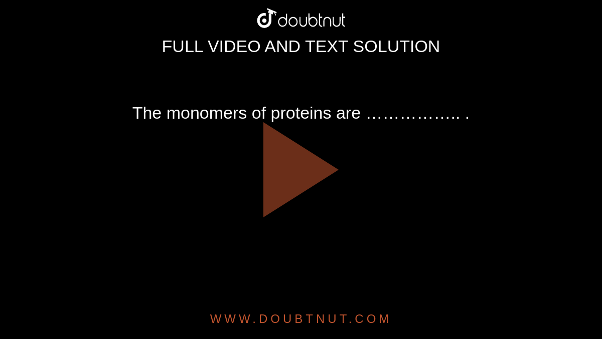 The monomers of proteins are …………….. . 