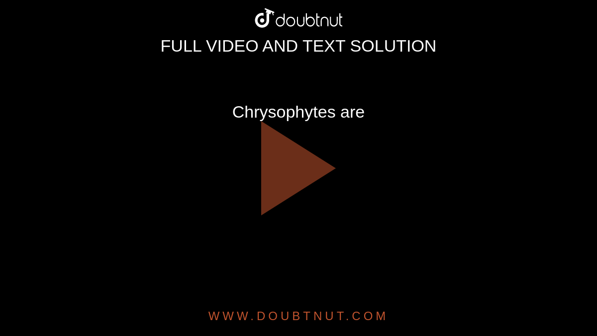 Chrysophytes are 