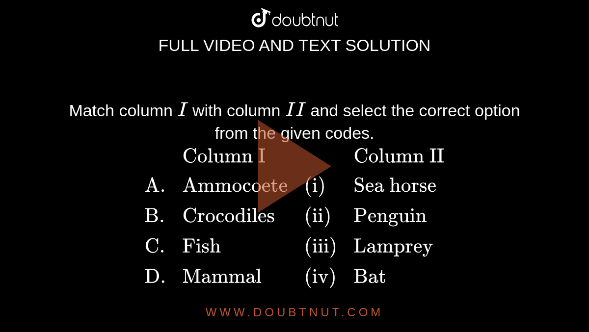 Match column `I` with column `II` and select the correct option from the given codes. <br> `{:(,"Column I",,"Column II"),("A.","Ammocoete","(i)","Sea horse"),("B.","Crocodiles","(ii)","Penguin"),("C.","Fish","(iii)","Lamprey"),("D.","Mammal","(iv)","Bat"):}`