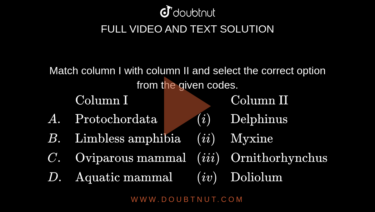 Match column I with column II and select the correct option from the given codes. <br> `{:(,"Column I",,"Column II"),(A.,"Protochordata",(i),"Delphinus"),(B.,"Limbless amphibia",(ii),"Myxine"),(C.,"Oviparous mammal",(iii),"Ornithorhynchus"),(D.,"Aquatic mammal",(iv),"Doliolum"),(E.,"Jawless vertebrate",(v),"Ichthyophis"):}`