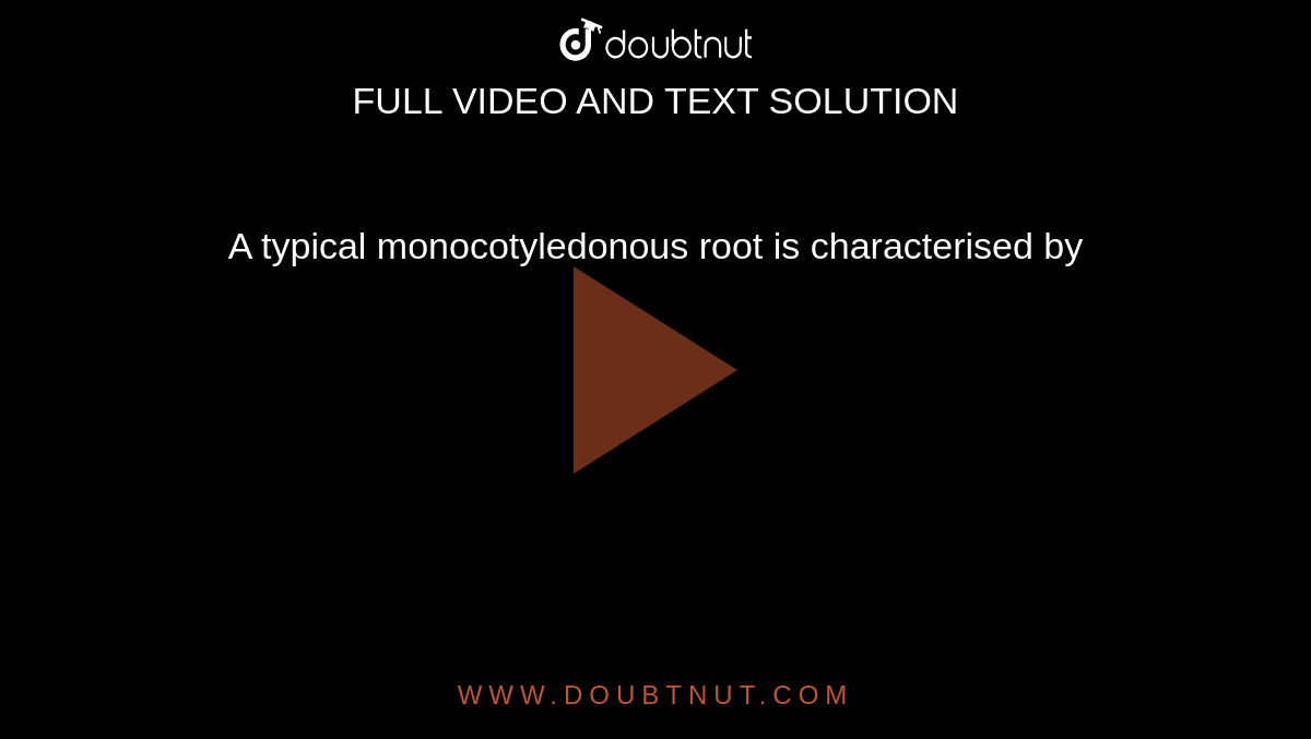 A typical monocotyledonous root is characterised by 