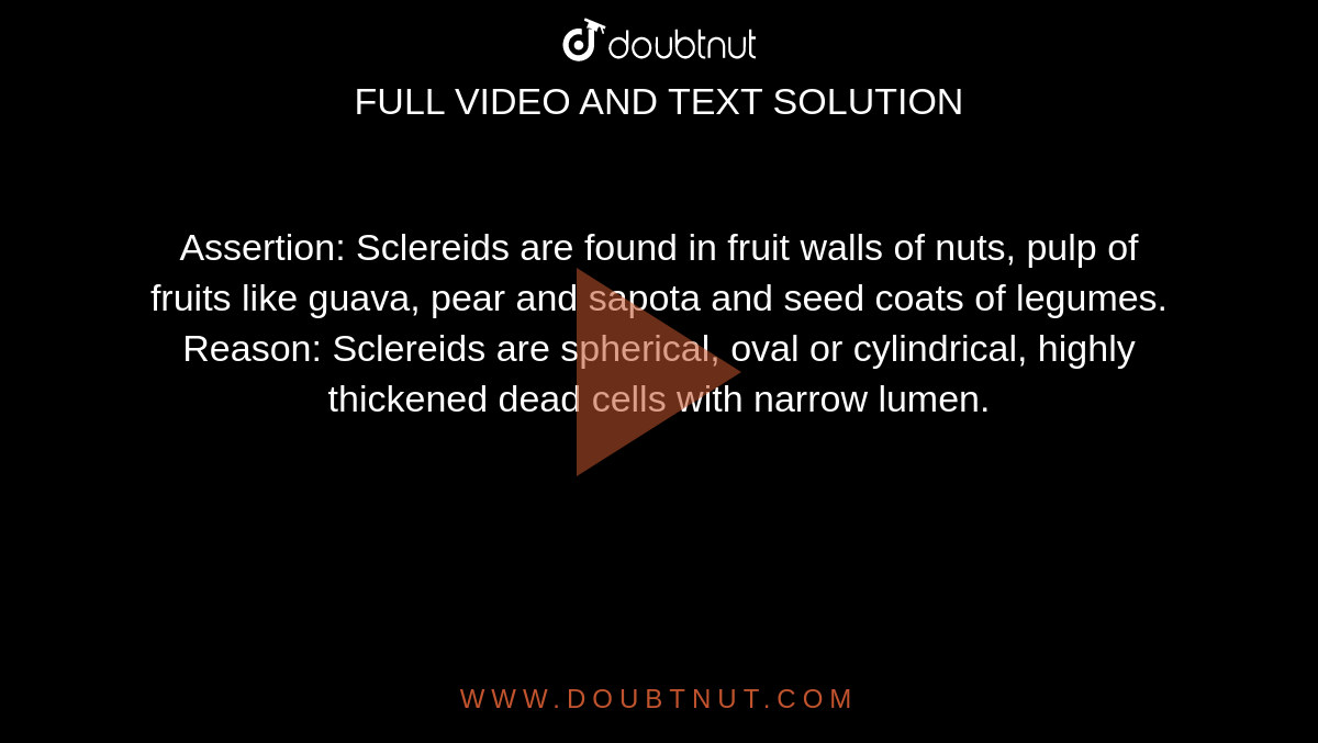 Assertion: Sclereids are found in fruit walls of nuts, pulp of fruits like guava, pear and sapota and seed coats of legumes. <br> Reason: Sclereids are spherical, oval or cylindrical, highly thickened dead cells with narrow lumen.