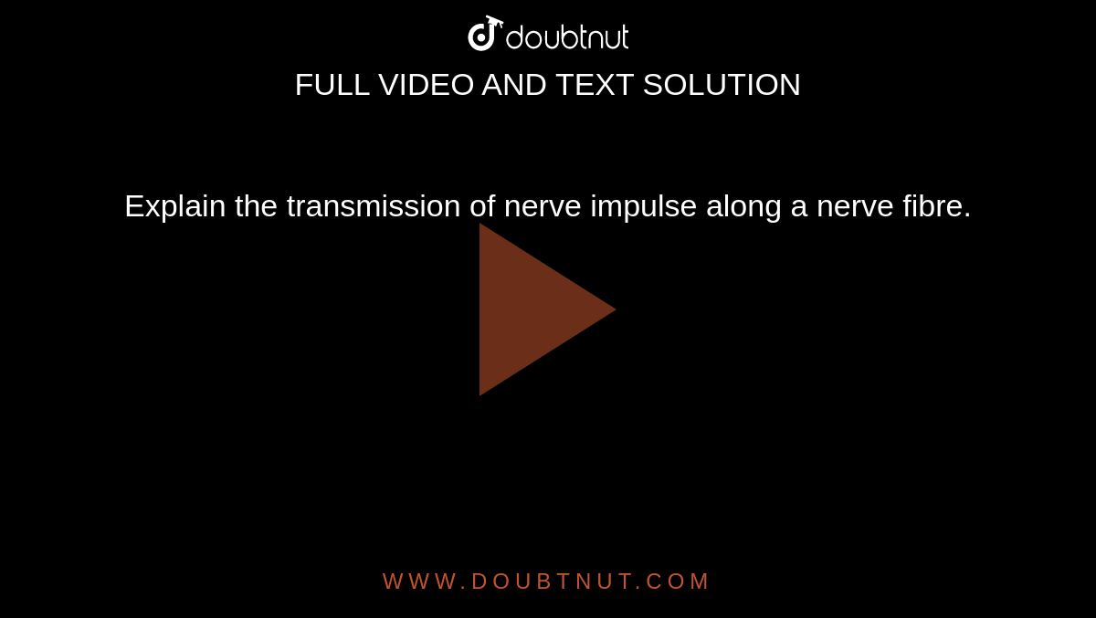 Explain the transmission of nerve impulse along a nerve fibre.