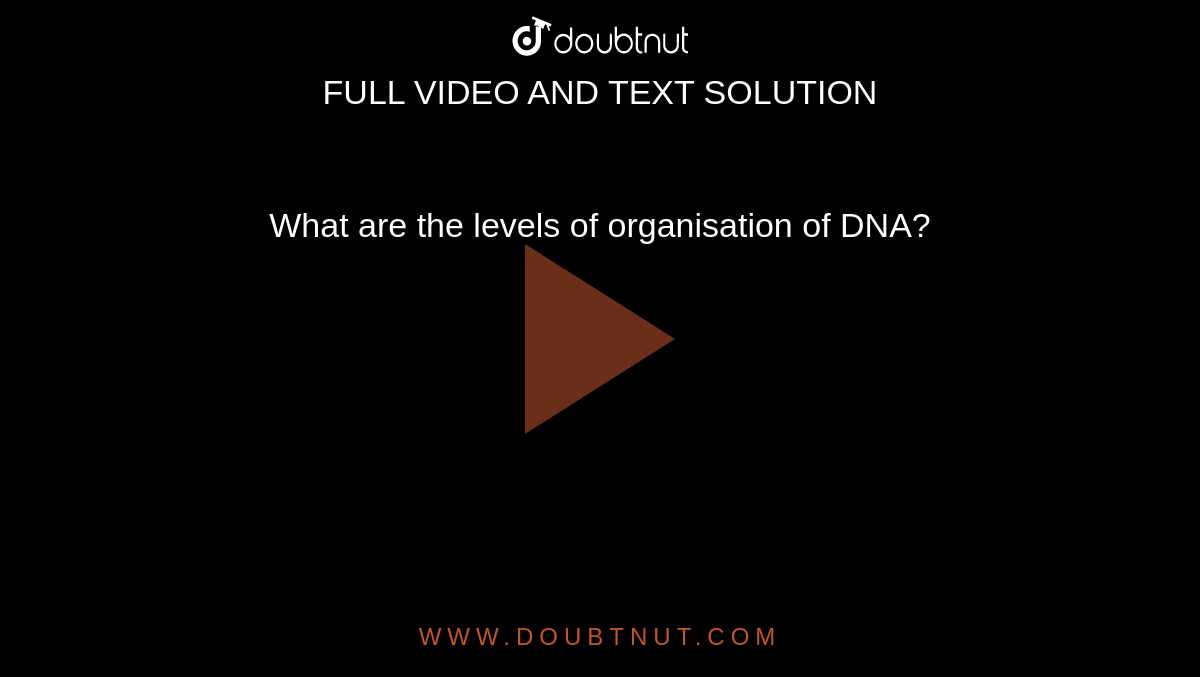 What are the levels of organisation of DNA?