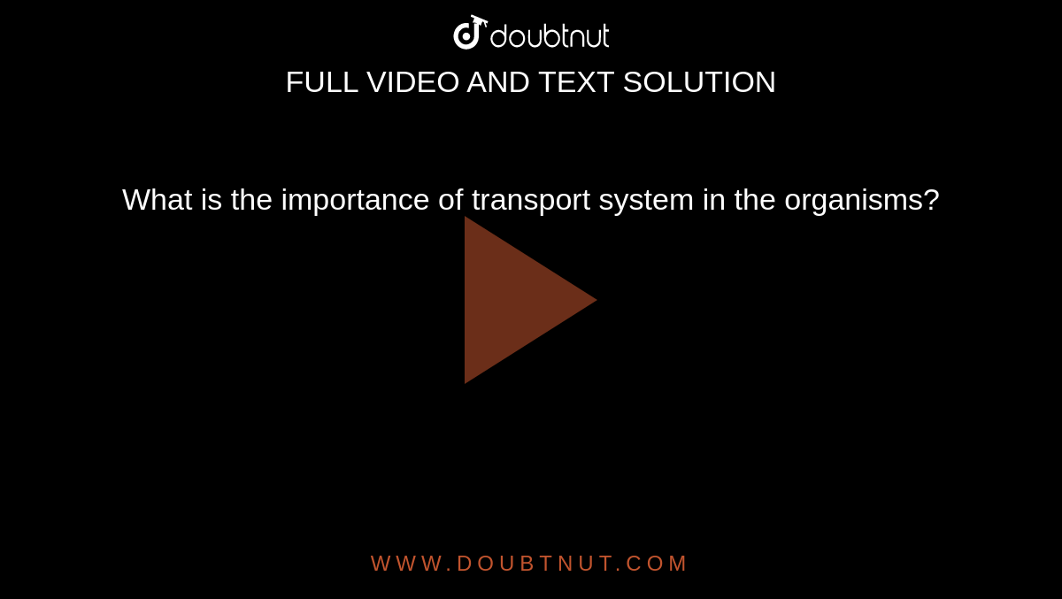 what-is-the-importance-of-transport-system-in-the-organisms