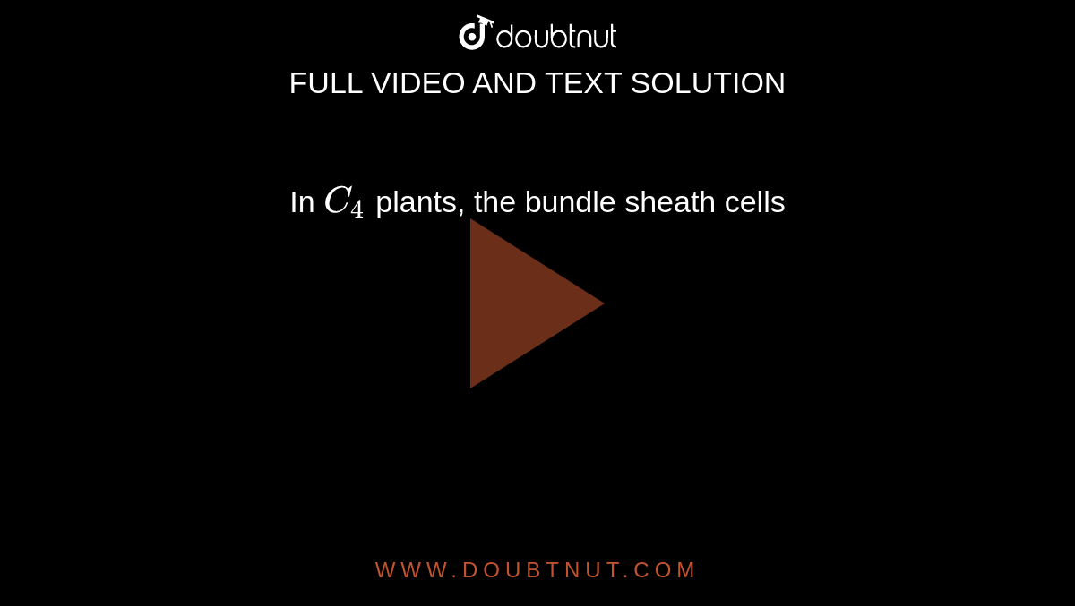 In `C_(4)` plants, the bundle sheath cells