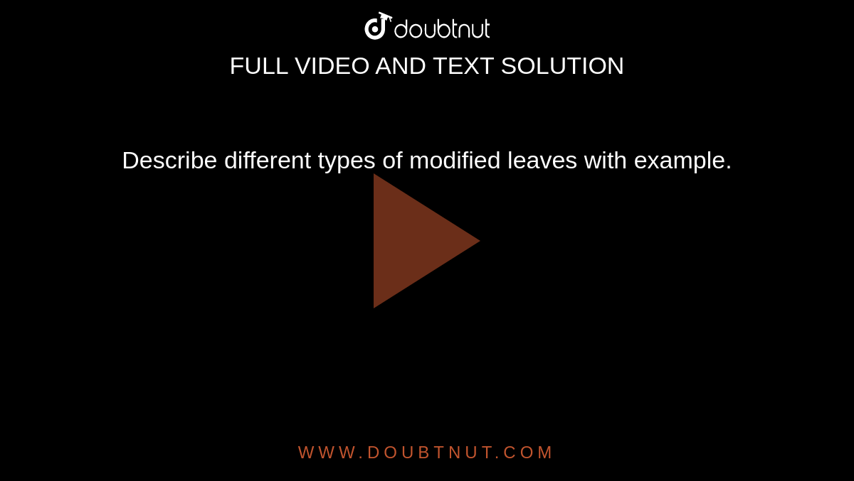 describe-different-types-of-modified-leaves-with-example