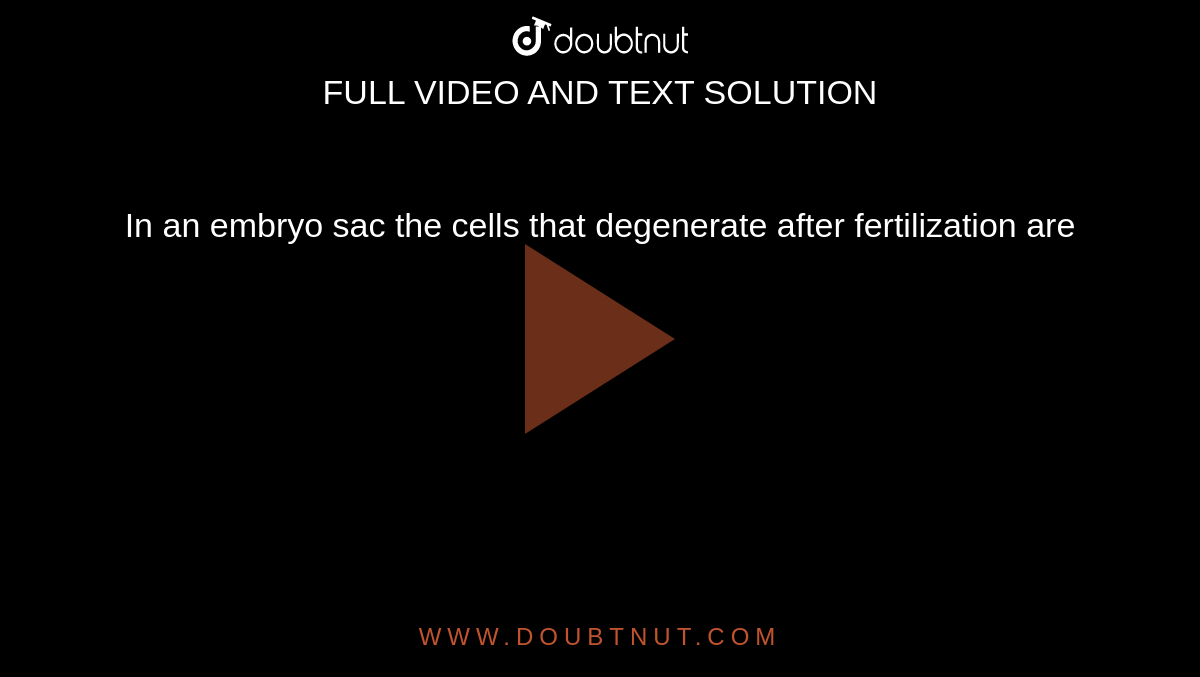 In an embryo sac the cells that degenerate after fertilization are 