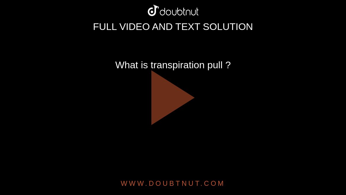 what-is-transpiration-pull