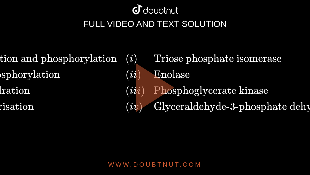 `{:(1.,"Oxidation and phosphorylation" ,(i),"Triose phosphate isomerase"),(2.,"Dephosphorylation",(ii),"Enolase"),(3.,"Dehydration",(iii),"Phosphoglycerate kinase"),(4.,"Isomerisation",(iv),"Glyceraldehyde-3-phosphate dehydrogenase"):}`