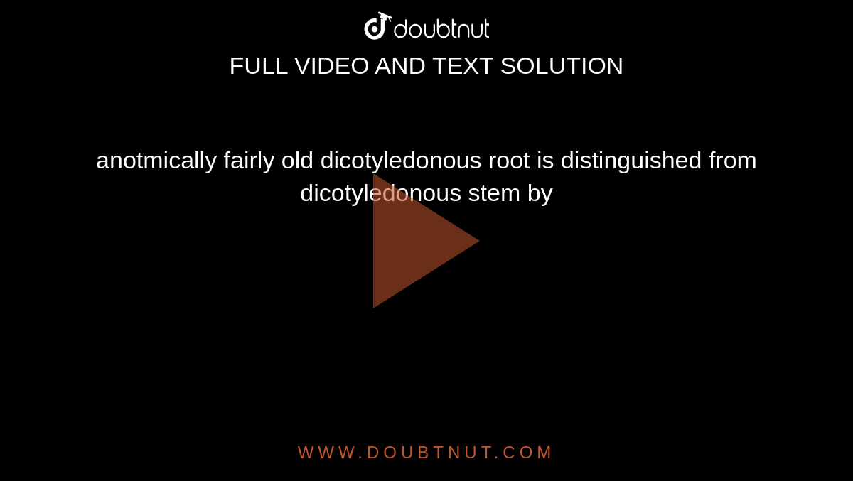 anotmically fairly old dicotyledonous root is distinguished from dicotyledonous stem by