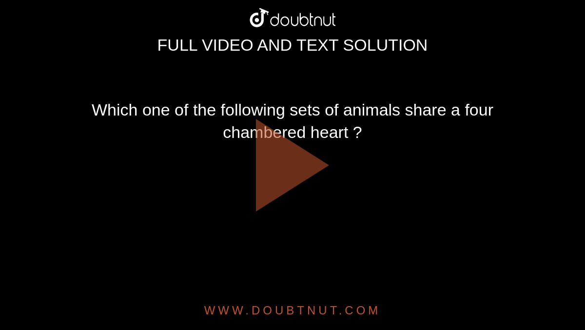 Which one of the following sets of animals share a four chambered heart ? Which one of the following sets of animals share a four chambered heart ?