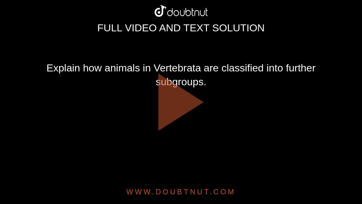Explain how animals in Vertebrata are classified into further subgroups.