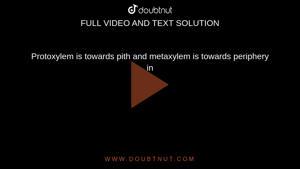 Protoxylem is towards pith and metaxylem is towards periphery in 