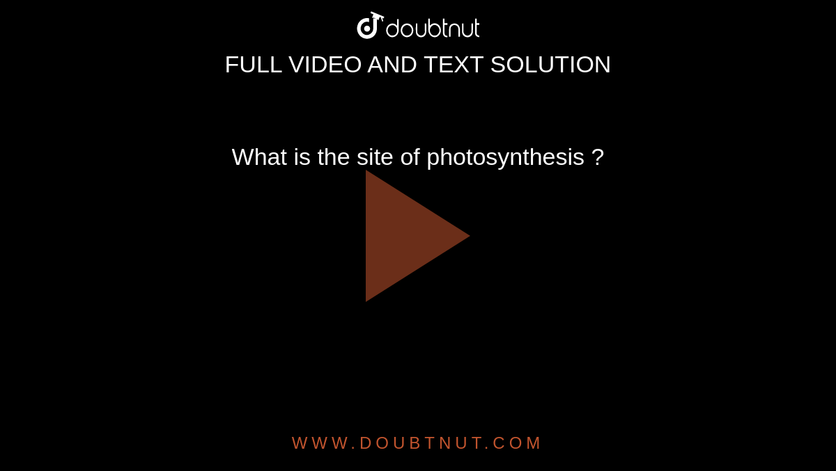 What is the site of photosynthesis ? 