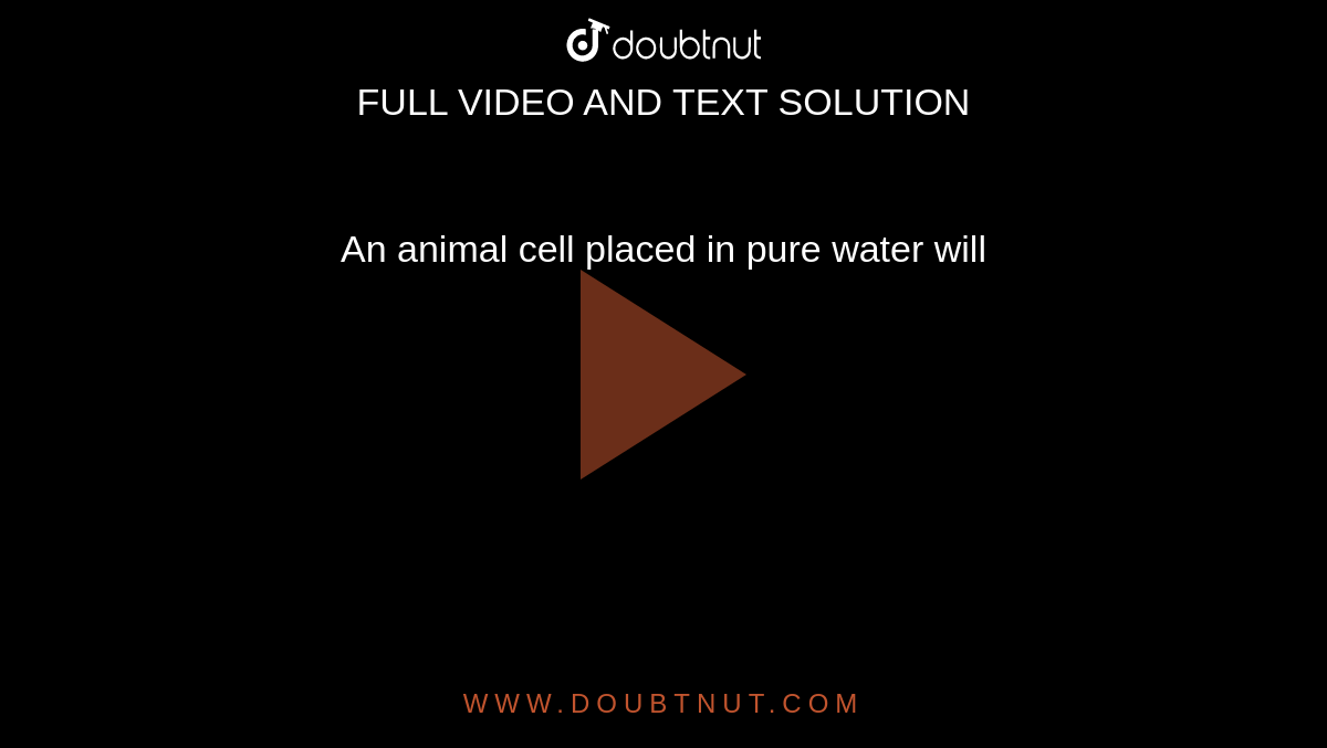 an-animal-cell-placed-in-pure-water-will