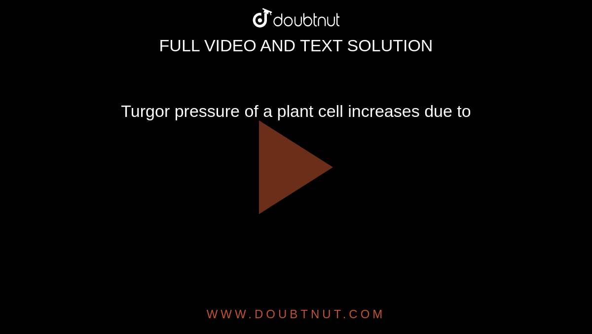 turgor-pressure-of-a-plant-cell-increases-due-to