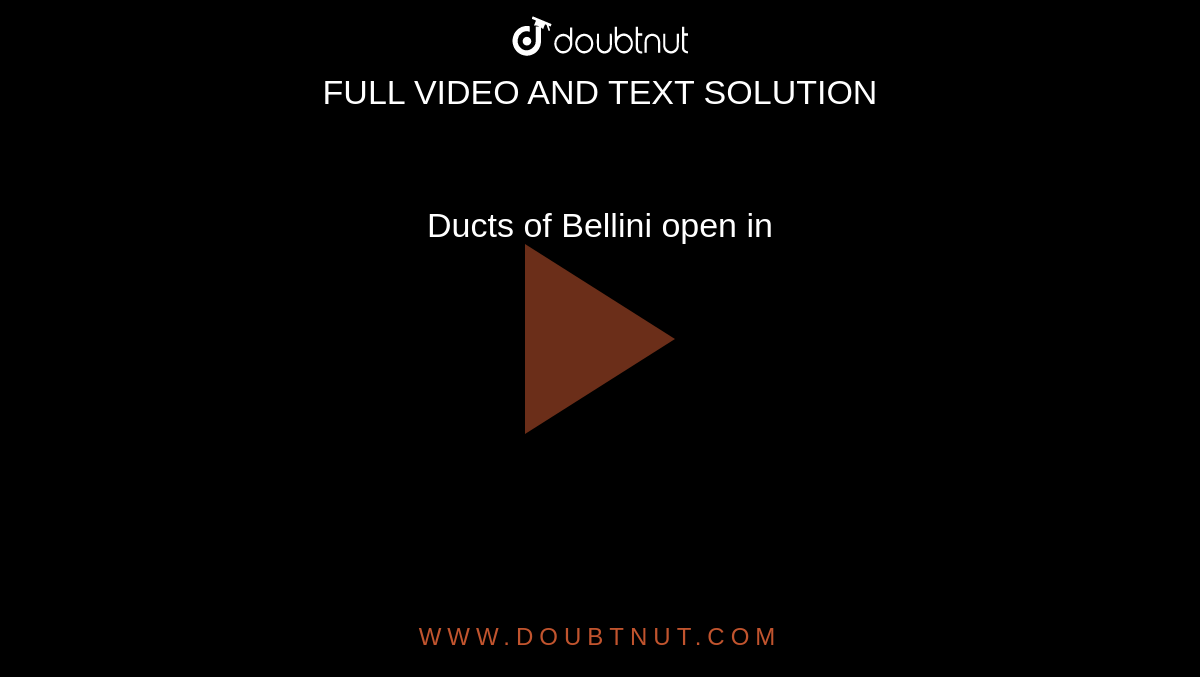 Ducts Of Bellini Open In