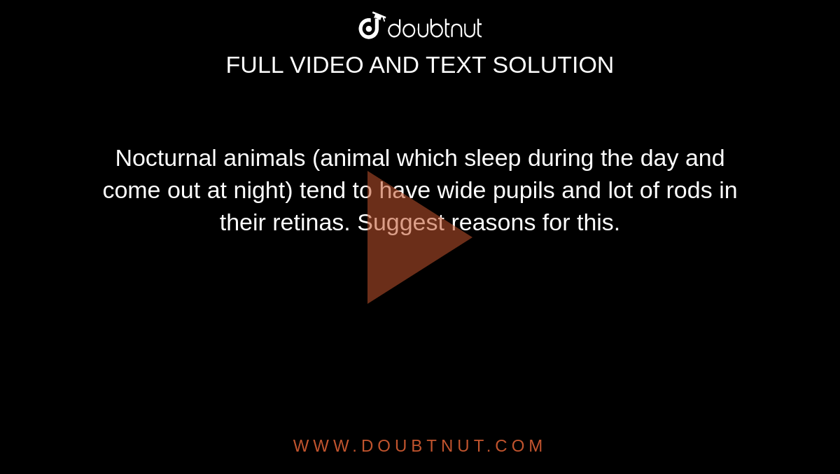 Nocturnal animals (animal which sleep during the day and come out at night) tend to have wide pupils and lot of rods in their retinas. Suggest reasons for this. Nocturnal animals (animal which sleep during the day and come out at night) tend to have wide pupils and lot of rods in their retinas. Suggest reasons for this.