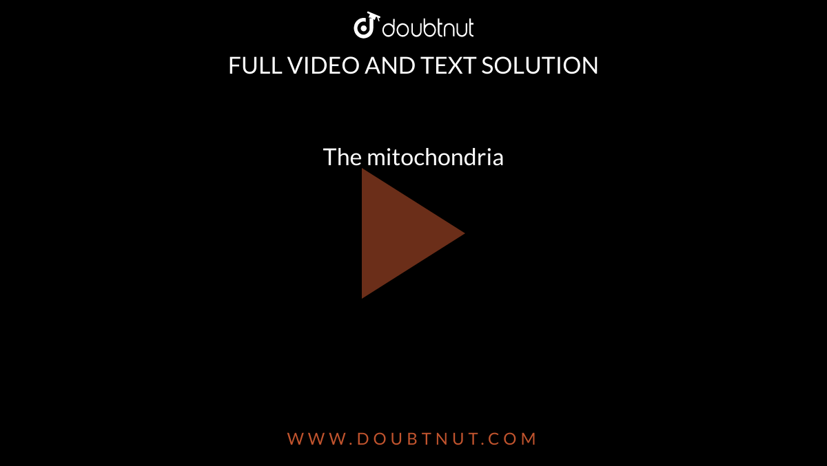 The mitochondria 