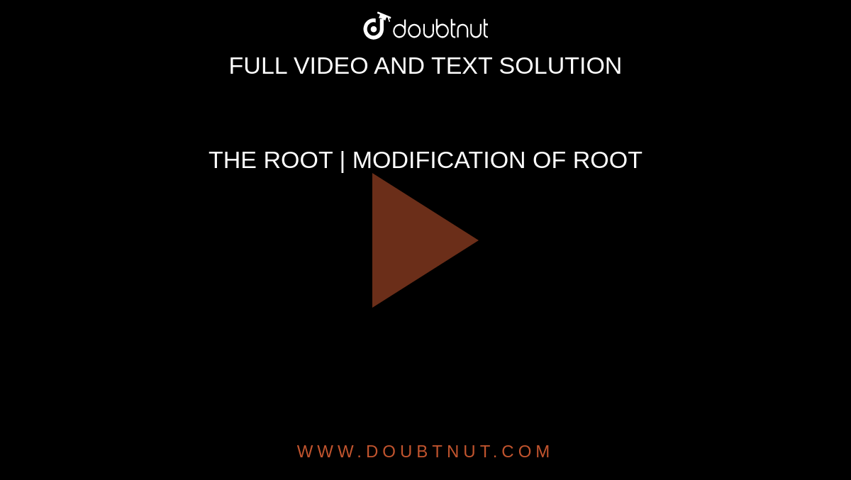 THE ROOT | MODIFICATION OF ROOT