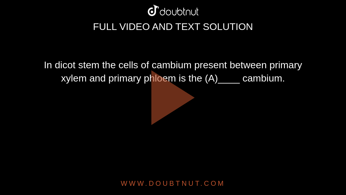 In dicot stem the cells of cambium present between primary xylem and primary phloem is the (A)____ cambium.
