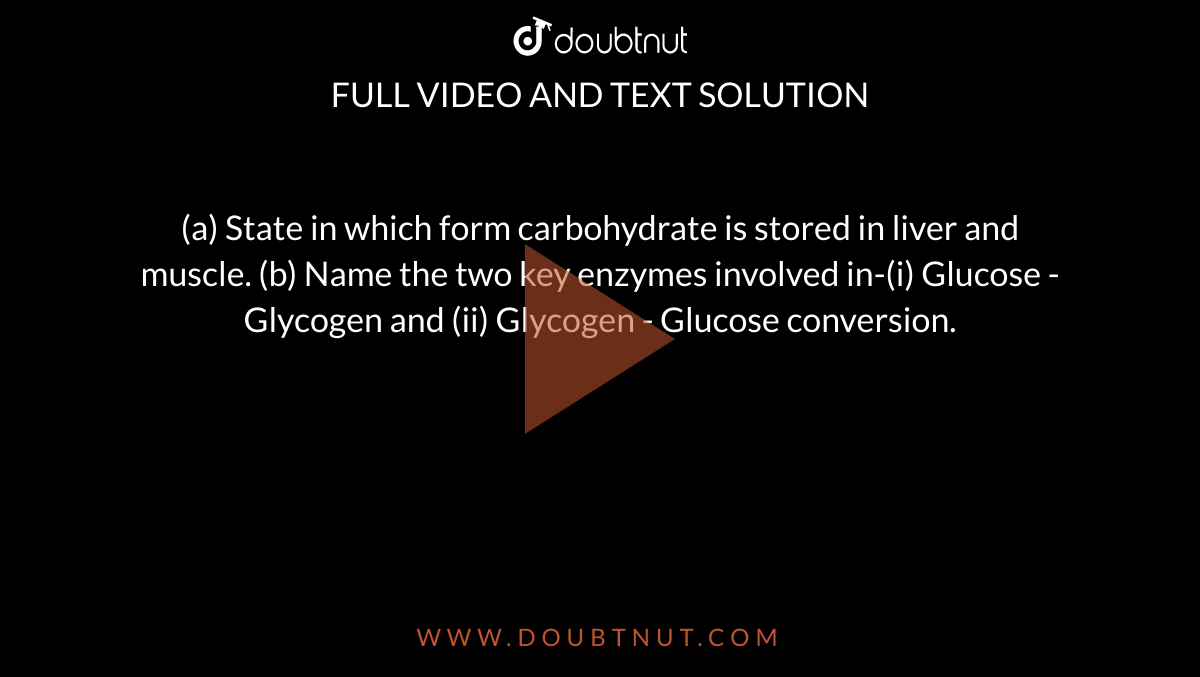 (a) State in which form carbohydrate is stored in liver and muscle. (b) Name the two key enzymes involved in-(i) Glucose - Glycogen and (ii) Glycogen - Glucose conversion. 