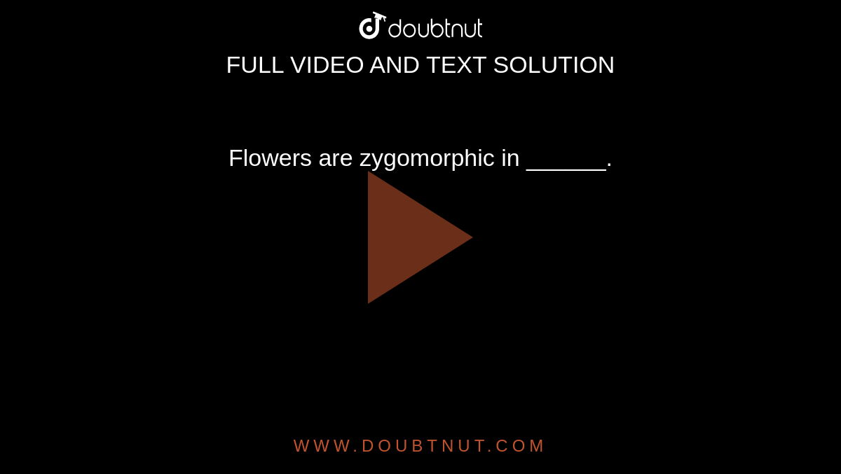 Flowers are zygomorphic in ______.