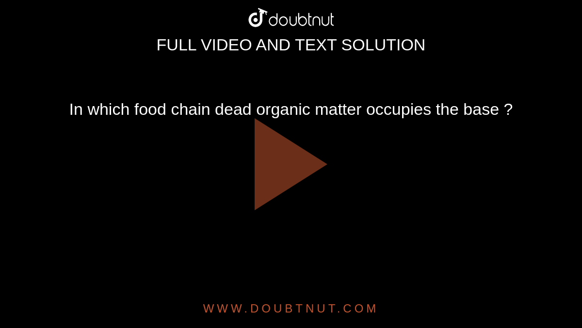 The Food Chain Starts With Dead Organic Matter Is